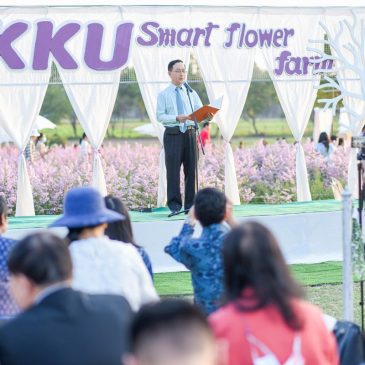 Opened KKU Marguerite field, the KKU Smart Flower Farm Project is a beautiful flower bouquet, waiting for you to check in!
