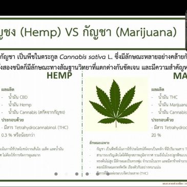 U2T Project, Faculty of Agriculture trains on “Amazing alternative plants – Cannabis and Hemp”