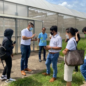 Thai herb community enterprise visited at the cannabis cultivation