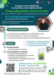 การเพาะเลี้ยงเนื้อเยื่อ (Tissue Culture)