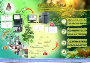 KKU Canabiz Platform สถาบันแคนนาบิสครบศาสตร์ มหาวิทยาลัยขอนแก่น