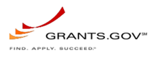 Brand Name Create an Enticing Logo Display Website.