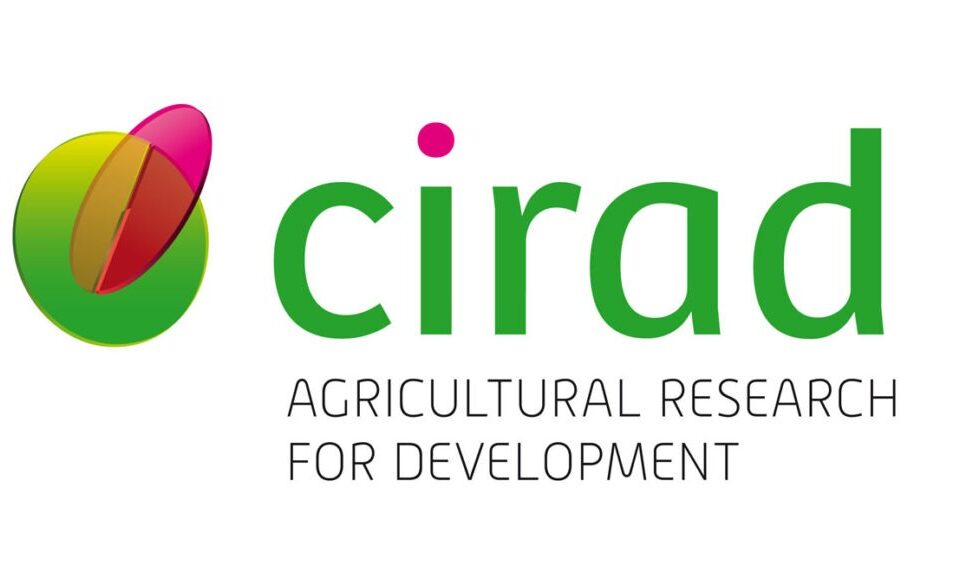 CIRAD CIRAD (Centre de coopération internationale en recherche agronomique pour le développement) is a French public research institution 